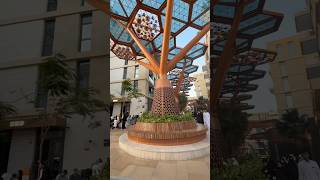 A journey to the Gewan Island #gewanisland #crystalwalk #dailyvlog #qatarvlog