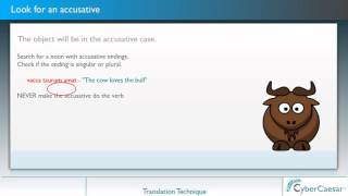 Translation Technique