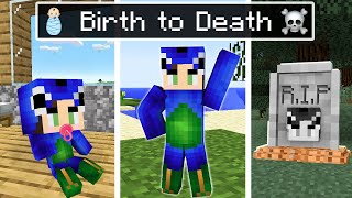 Ayushs Birth To Death In Minecraft Hindi