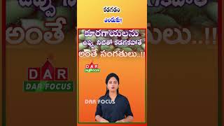 Wash Vegetables Properly | Use Salt or Turmeric Water for Safety | Latest updates | DAR FOCUS