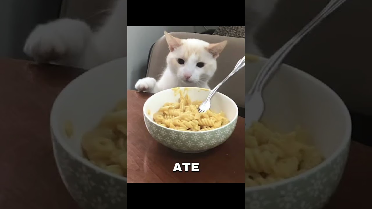 I'm white🤍 I'm black🖤 I'm yellow💛 and I'm single 😭 