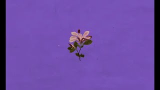 [한글자막] 柿崎ユウタ - 月が綺麗ねと言われたい！ (I Want You to Tell Me the Moon is Beautiful!)🌙