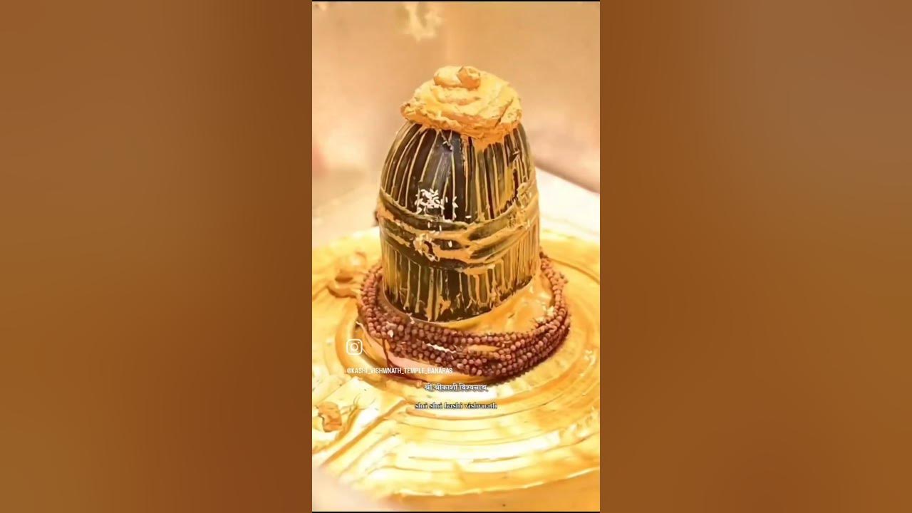Shambhu Shankar Namah Shivay #mahadev #kashivishwanath #babavishwanath #shambhushankarnamahshivay