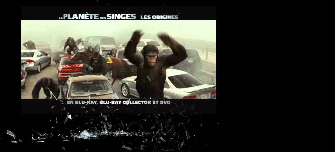La Planète des Singes : Les Origines en DVD et Blu-ray