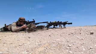 Savage B22 Precision Suppressed 