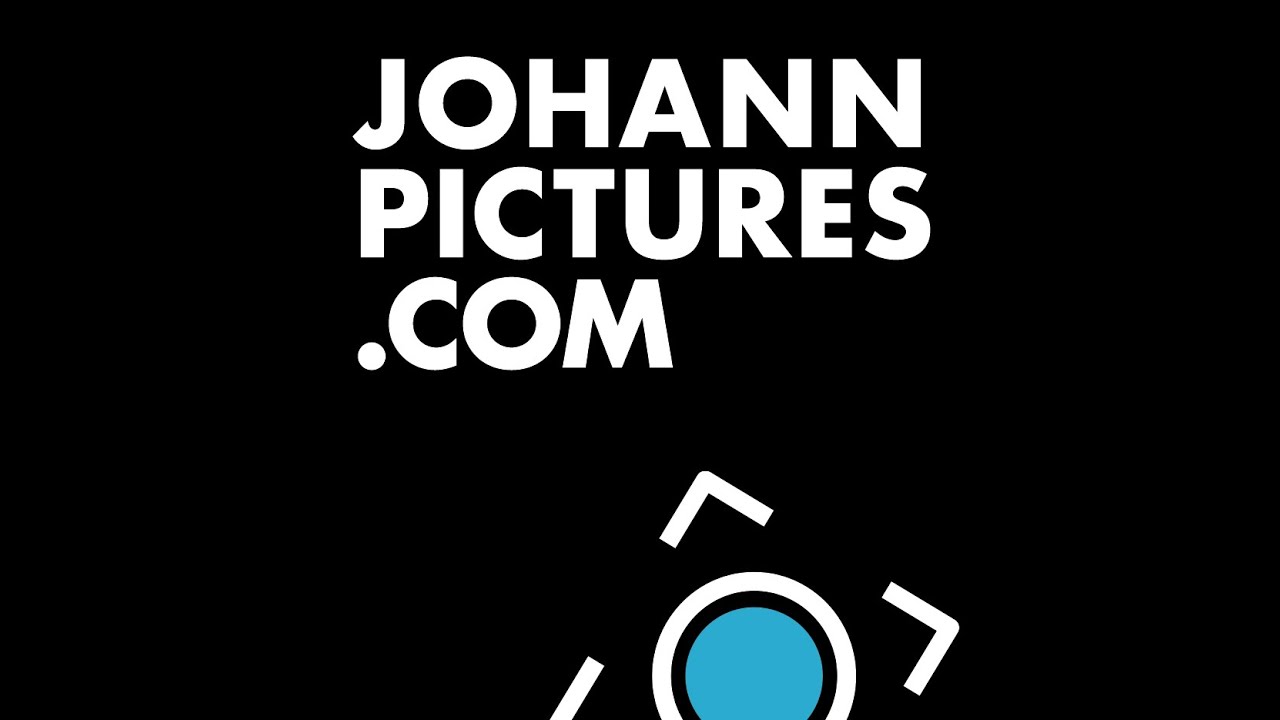 Youtube Content Creator FilmAgency