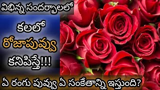 If you see a rose flower in your dream || Kalalo Roja Kanipiste || Rose in Dream Analysis & Meani...