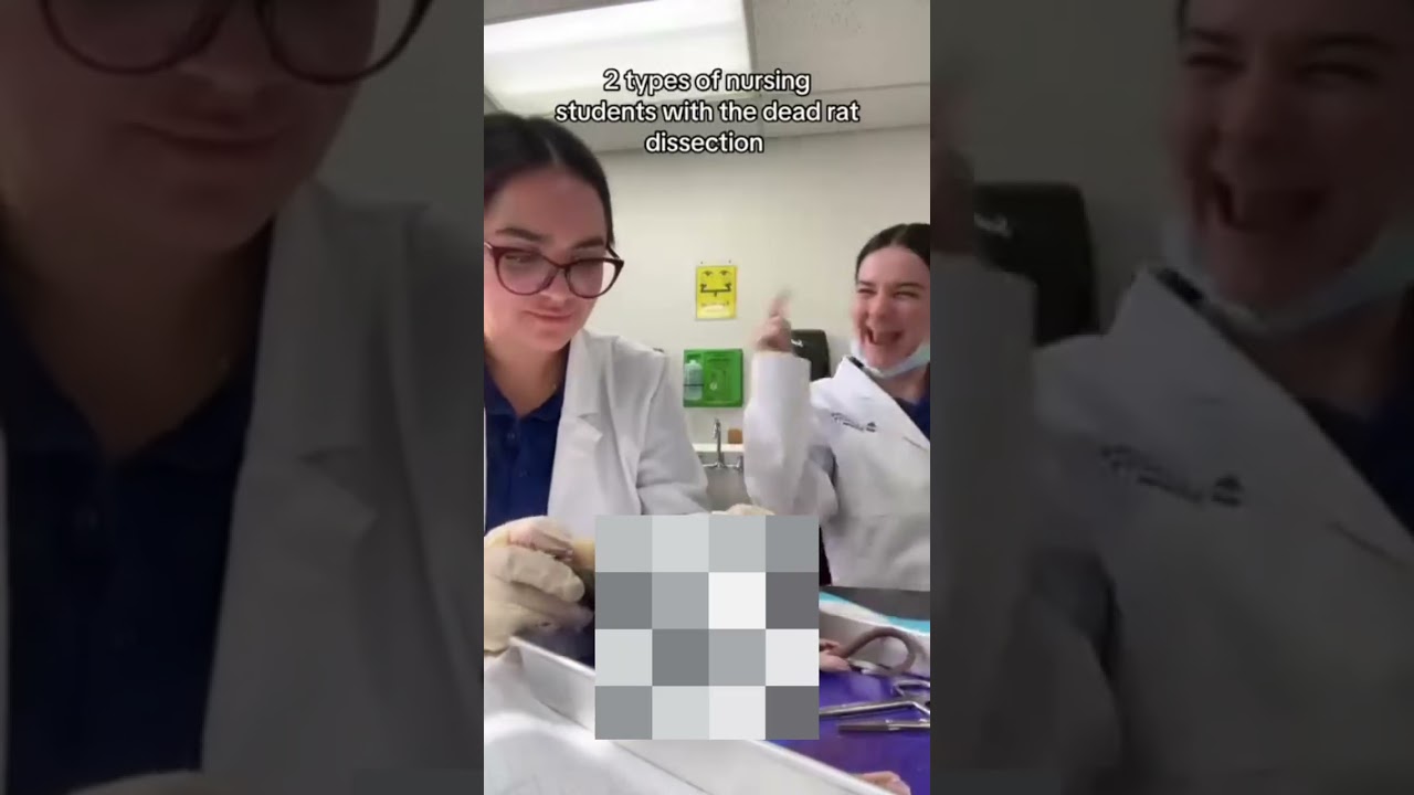 Two types of nursing students dissecting in the Science Lab...