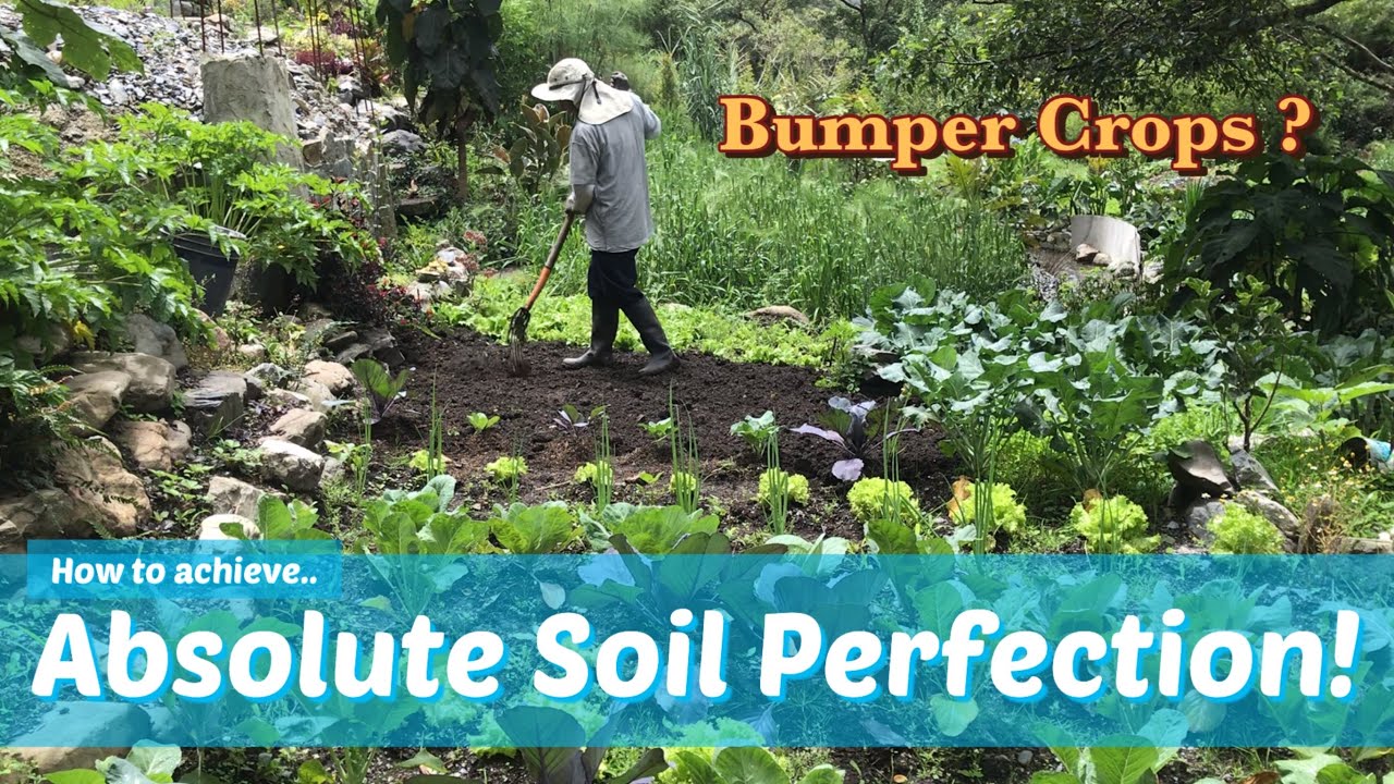 How to create an incredibly fertile soil mix perfectly aerated and productive! (Growing medium)