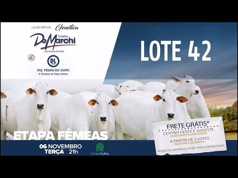 LOTE 42-DUPLO (MDL 6545 / MDL 6341)