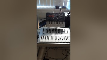 zoom r16 recording setup