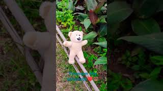 Yumoş Köye Gidiyor