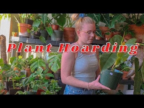 From Plant Hoarder to Collector: My Journey With 120+ Houseplants