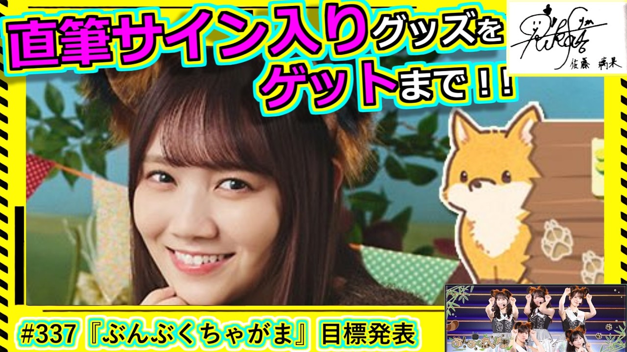 乃木フェス】直筆サインゲット録 その337『ぶんぶくちゃがま』目標発表