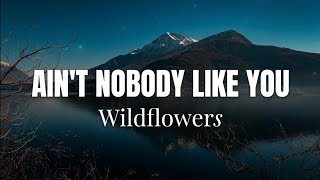 Wildflowers - Ain't Nobody Like You (Lyrics)
