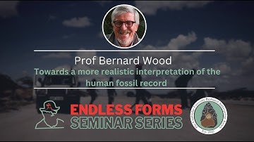 Towards a more realistic interpretation of the human fossil record