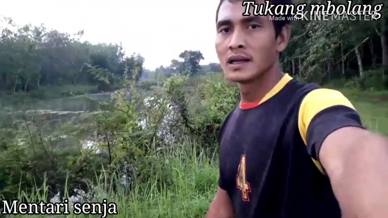 Mancing kerapu air tawar menggunakan umpan wader