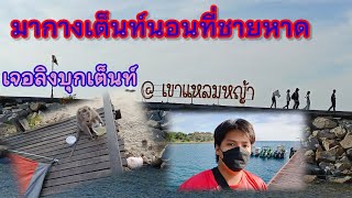 อุทยานแห่งชาติเขาแหลมหญ้า-หมู่เกาะเสม็ด จ.ระยองKhao Laem Ya National Park | เพื่อนร่วมเดินทาง