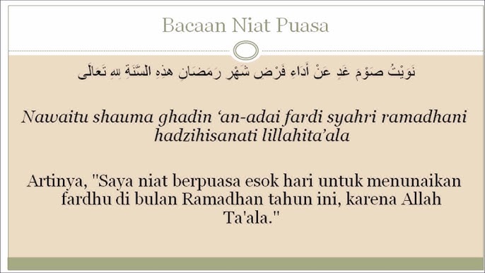 Qoshnining mushukidagi porno