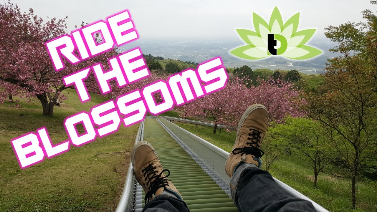 Japanese Mountain Slide YouTube