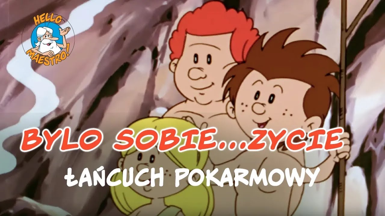 Puls Zycia 2 Uklad Wydalniczy Sprawdzian Pytania Bylo Sobie... Zycie 🌱 - Łańcuch pokarmowy 🧬 - YouTube