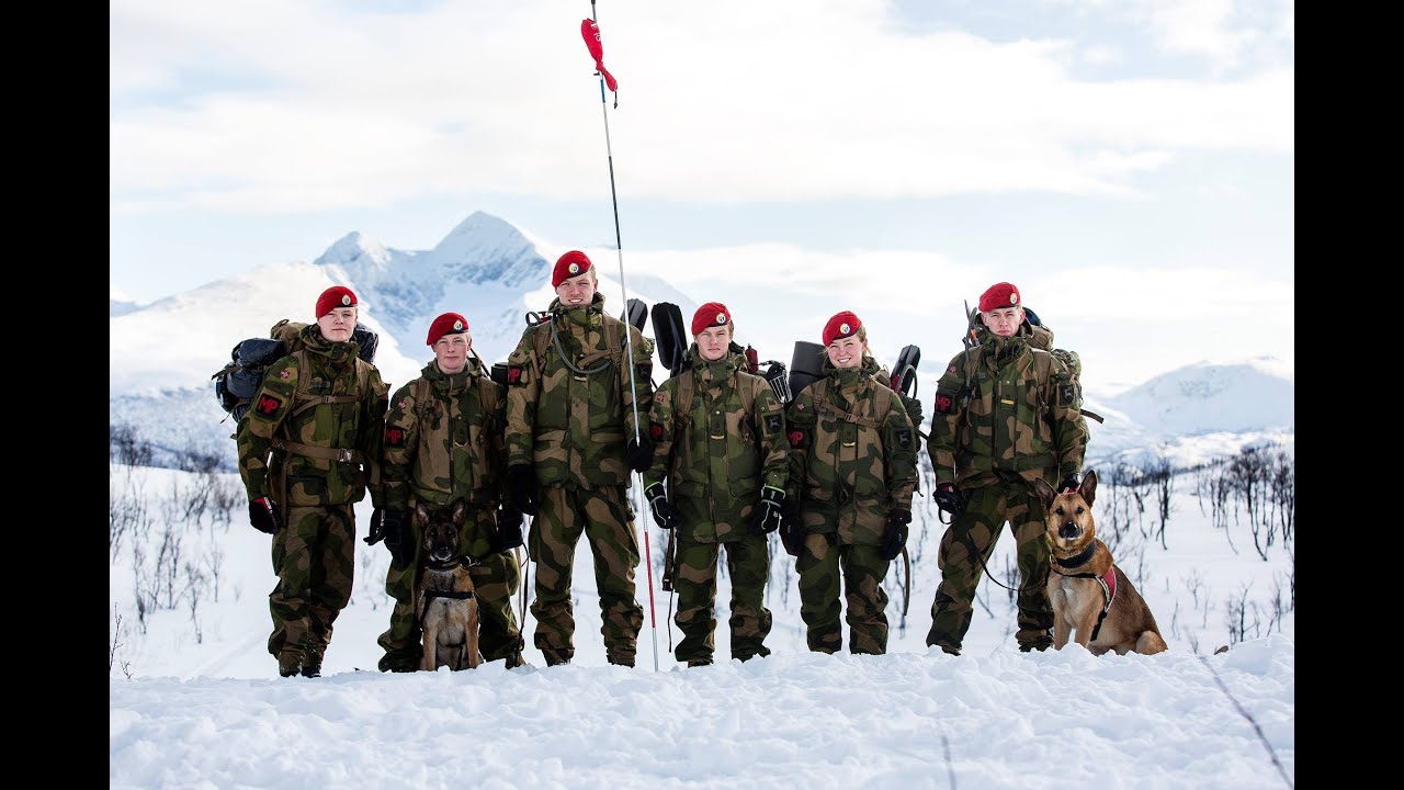 Hundetroppen i Militærpolitikompaniet - K9 MP 1307