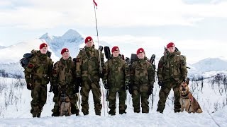 Hundetroppen I Militærpolitikompaniet - K9 MP 1307 Hundetroppen I Militærpolitikompaniet - K9 MP 1307