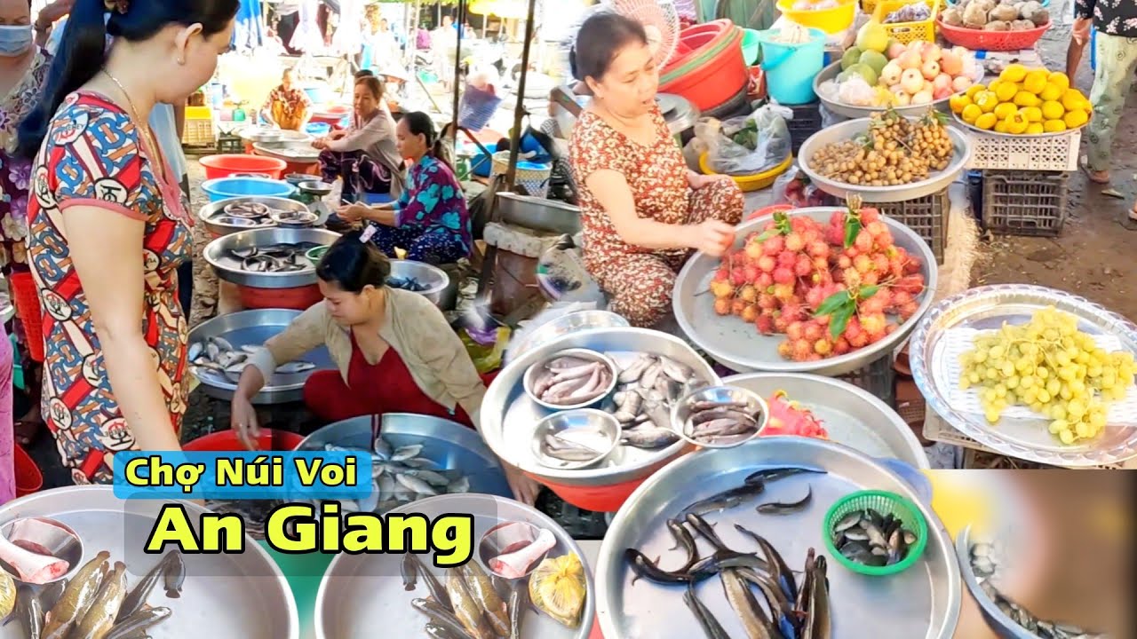 Раннее утро на рынке Нуи Вой – свежевыловленная пресноводная рыба и пышная зелень дикорастущих ов...