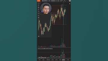 ¿Cómo añadir el indicador de Volumen en NinjaTrader 8?