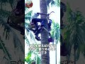 奇妙な発明、枝切り機 #発明 #shorts