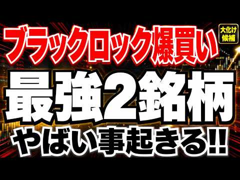 【今すぐ見ろ!!】5月22日にブラックロックが密かに爆買いした最強の2銘柄