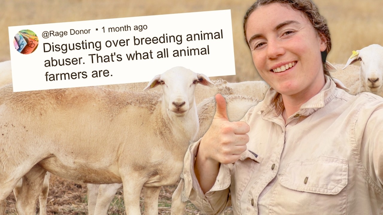 Thanks I Bought More.