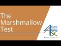 Understanding the Marshmallow Test and Self-Control