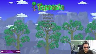 Terraria Expert mode Summoner Class #4