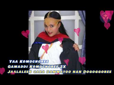 Yaa Komochoree Qamaddi Komochoree Jaalaleen Qaba Dammatoo Nan Dogoggoree