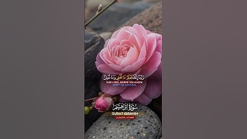 سورة ابراهيم #quran #اكسبلور #تيك_توك #المصحف #العظماء #حالات_واتس #دويتو #ترند #duet