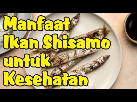 Manfaat Ikan Shisamo Untuk Mpasi