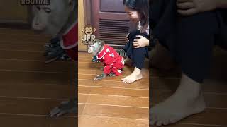 Smart Judy Act Exactly Just Like A REAL HUMAN KlD