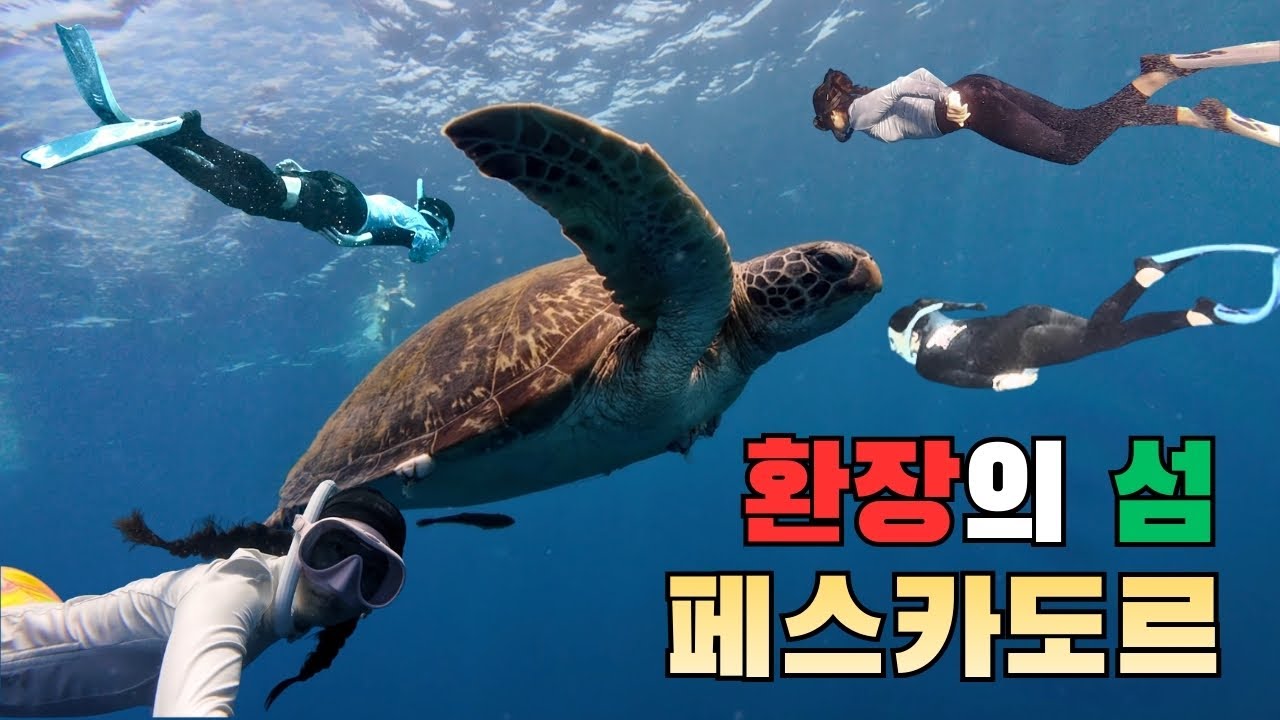 DAY3｜환장의 섬 모알보알 페스카도르로 오세요🌊