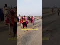 Bull race sindh pakistan 🇵🇰 #allcountry #onthisday #allcountry #please_subscribe_my_channel #pakua