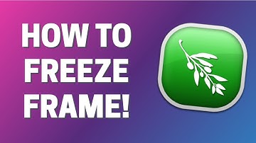 How To Freeze Frame in Olive Video Editor