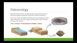 BIO100 Chapter 11 - Evolution and Its Processes, Part 1