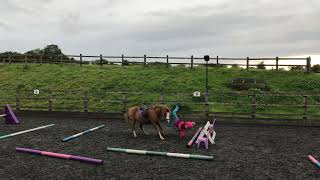 Horses tosses little girl off his back as they jump over poles on track