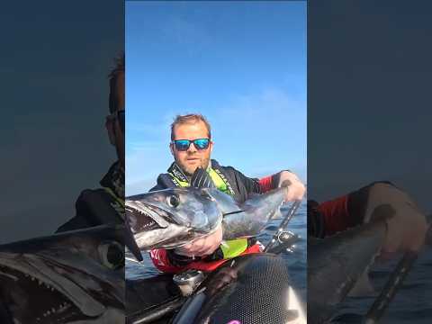 What an adventure - Snoek gaan ons Snoek!
