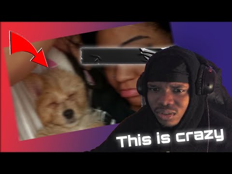 Aspen Kartier Gets Banned off twitch for Dog abuse