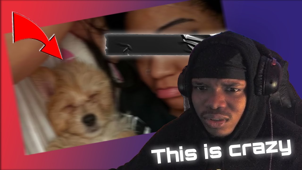 Aspen Kartier Gets Banned off twitch for Dog abuse - YouTube