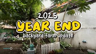 Backyard Farm Update 2025 Everything Weve Planted  Built So Far