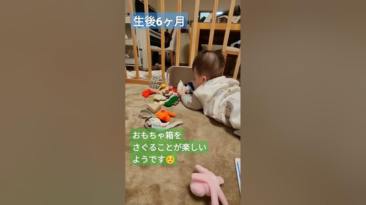 赤ちゃんのマイブーム 生後6ヶ月 成長記録 Youtube