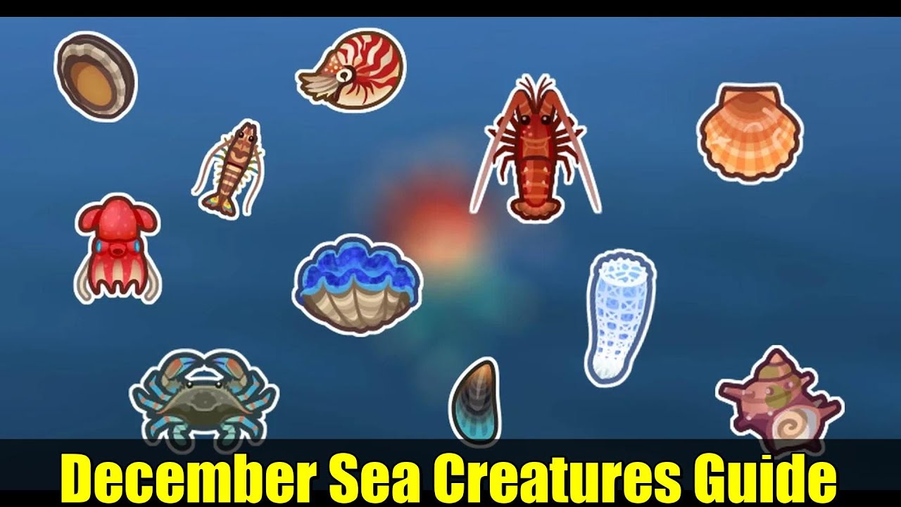 December Sea Creatures Guide | Animal Crossing New Horizons - YouTube