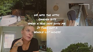 Spend a good few days with me...It then got a whole load worse...
